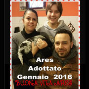 pets weet home perugia