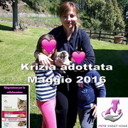 pets weet home perugia