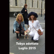 pets weet home perugia
