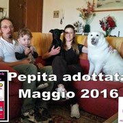 Pets' Sweet Home Perugia