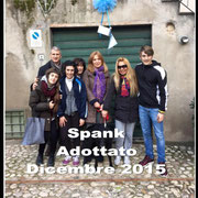 pets weet home perugia