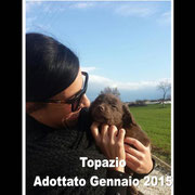 pets weet home perugia