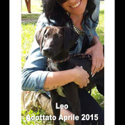 pets weet home perugia