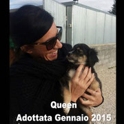 pets weet home perugia