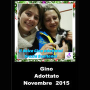 pets weet home perugia
