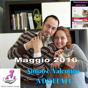 pets weet home perugia