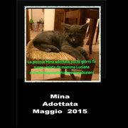 pets weet home perugia