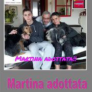 pets weet home perugia