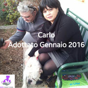 pets weet home perugia