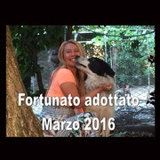 pets weet home perugia