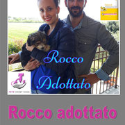pets weet home perugia