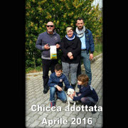 pets weet home perugia