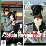pets weet home perugia
