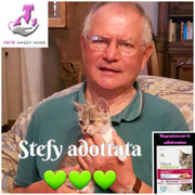 pets weet home perugia