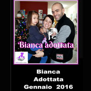 pets weet home perugia