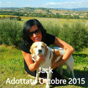 pets weet home perugia