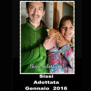 pets weet home perugia