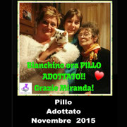 pets weet home perugia