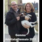 pets weet home perugia