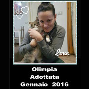 pets weet home perugia