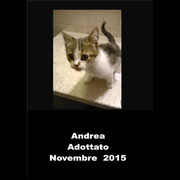 pets weet home perugia