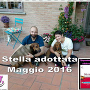 Pets' Sweet Home Perugia