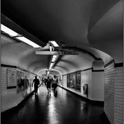 Photo: JJ Chafsey