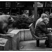 Photo: D Parigot
