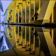 Photo: D Parigot