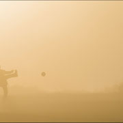 Photo: M Turpeau