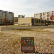 " Tlapalería " sur terrain graveleux  en Grand Parc.