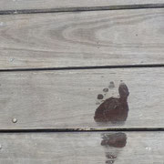Fussabdruck auf Holzdielen | Footprint on wooden planks
