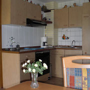Küche in der Ferienwohnung Gänseblümchen im Haus Resi in Mähring