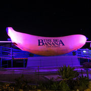 The Big Banana - Highlight des Tages :)