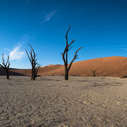 panorama | sossusvlei | dead vlei | namibia 2015 