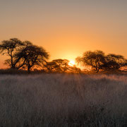 sundown | central kalahari | botswana 2017