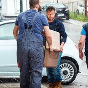 Miki / Bildquelle Kastrationen f. Streuner /in Zusammenarbeit mit griechische Fellnasen e.V.