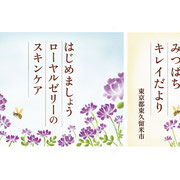 山田養蜂場 ／ 化粧品 インフォマーシャル使用イラスト《デジタル制作》（2008）※デザインも担当