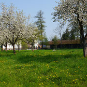 Blick auf die benachbarte Obstwiese