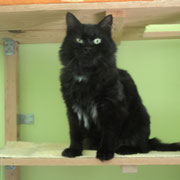 Blacky