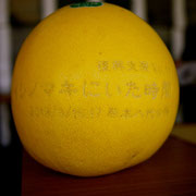 八代の名産品　晩白柚に舞台のお知らせを刻印してくれてました