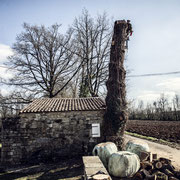 ©Diane Barbier Abattage d'arbre dangereux