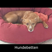 Betten
