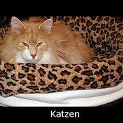 Katzen privat