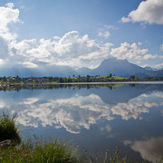 Hopfen am See im Mai mit Säuling im Hintergrund