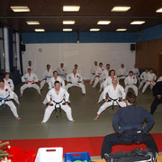 Jiu-Jitsu-Lehrgang in Ossenberg 20.12.2013