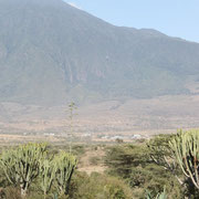 Kisimiri am Fusse des Mt. Meru (hier der kleine Meru)