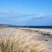 Der weitläufige und breite Sandstrand in Kronsgaard