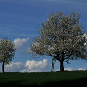 Scharten