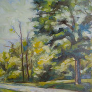 “Pomeriggio al Parco della Pieve a Cavalese” - olio su cartone telato cm. 30 x 40